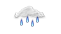 11.png